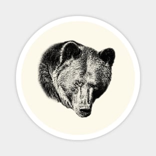 Brown bear Magnet